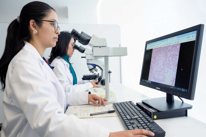 Una doctora vestida con bata blanca está mirando su computadora revisando resultados de exámenes